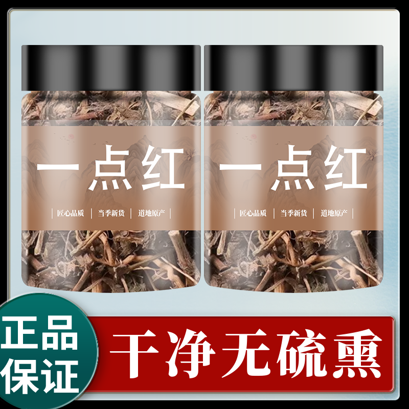 一点红中草药叶下红 中药材羊蹄草新鲜晒干红叶草红背叶草500g图片