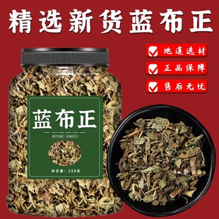 蓝布正中药材非野生旗舰店蓝不正五气朝阳草水杨梅新鲜干货泡水喝