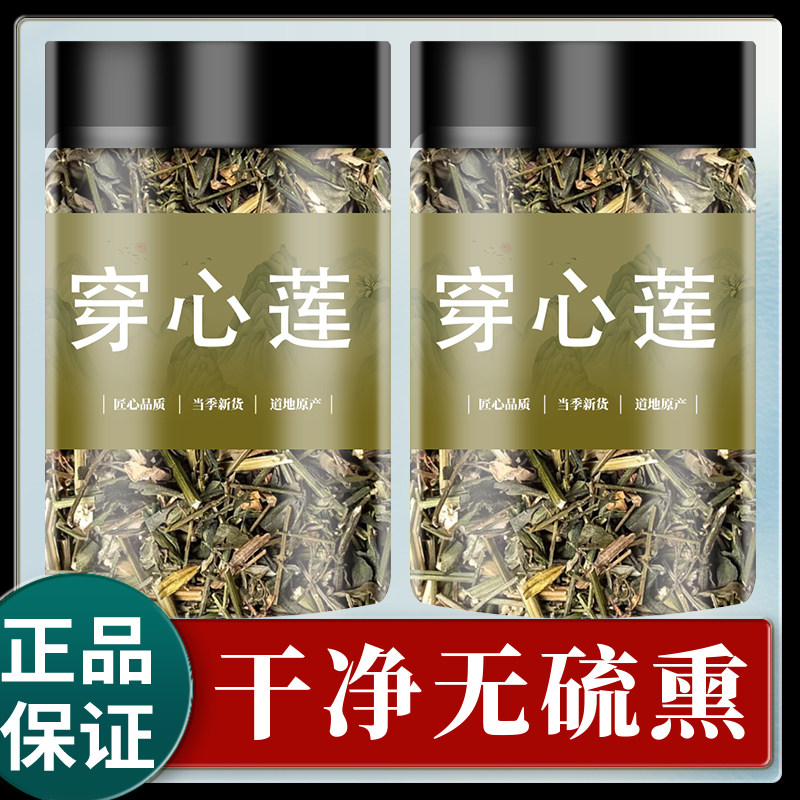 野生穿心莲中药材500克/250g 穿心莲茶一见喜川心连川心莲穿芯莲