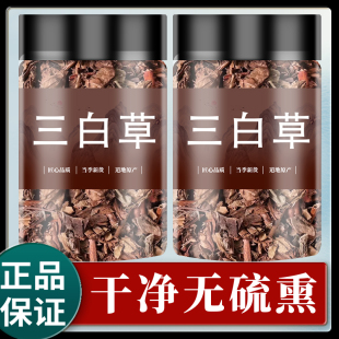 三白草正品中药材500g克野生白花莲水木通塘边藕白花三白草白舌骨