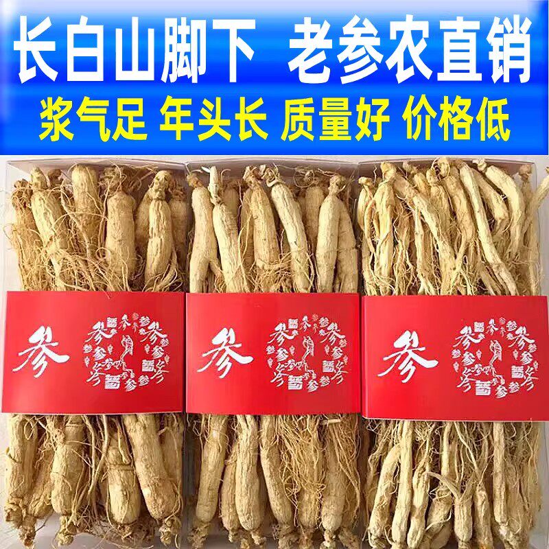 【今日特价】高龄生晒参500g人参长白山非野山参干人参泡酒中药材