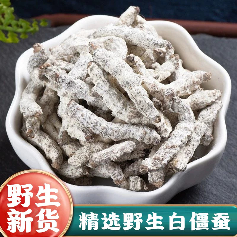 正品野生白僵蚕新货中药材500g僵蚕粉白僵蚕干白僵虫天虫姜蚕姜虫