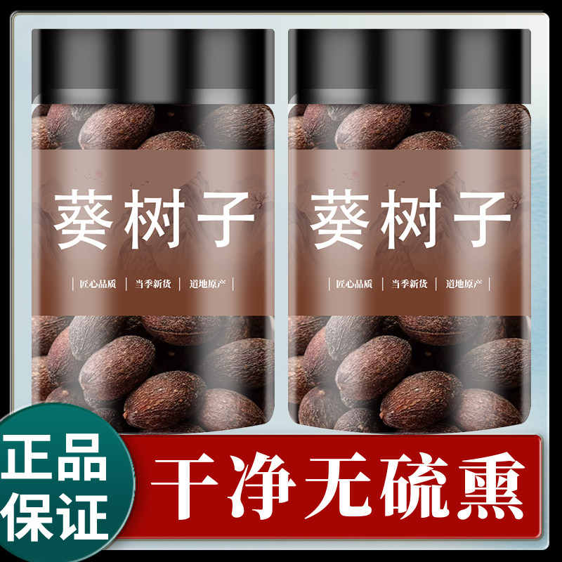 葵树子中药材500g野生正品新会大粒葵树籽老果葵扇子葵扇籽蒲葵籽