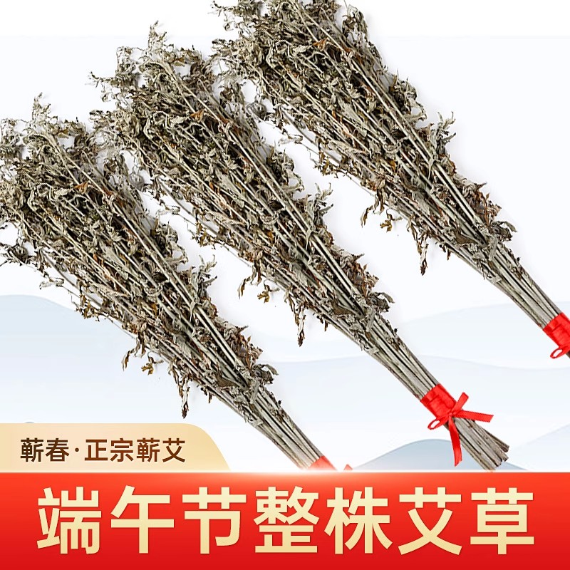 艾草挂门端午干艾叶整棵蕲艾叶上艾蒿驱蚊整把长棵全株家用节驱蚊