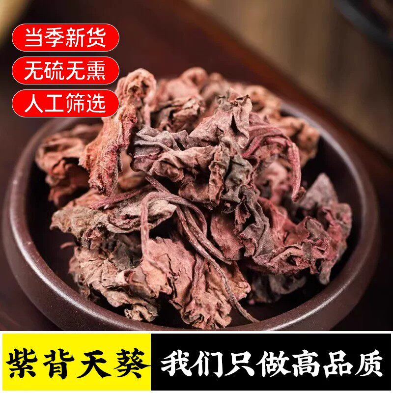 野生紫背天葵中药材500克g正品新鲜干货红叶红天葵背草两色三七草