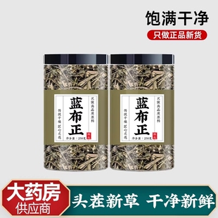 蓝布正中药500g中草药蓝不正泡茶泡水喝水杨梅根中药材正品旗舰店