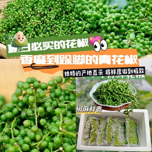 九叶青花椒2025年新产真空包装青麻椒水煮鱼尖椒鸡兔灵魂佐料