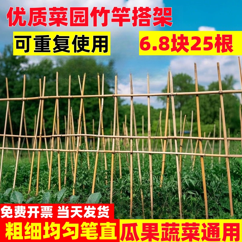 竹竿菜园搭架蔬黄瓜番茄豆