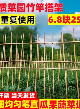 竹竿菜园搭架蔬菜黄瓜番茄豆角架杆竹篱笆栅栏小竹子细竹竿爬藤架