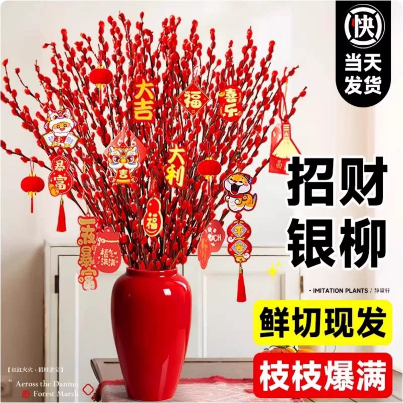2026银柳真花鲜枝批发干花客厅摆件红色年宵花卉新年氛围装饰水培