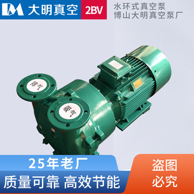 厂供2BV5110/2BV5111/5121/2BV5131/51612BV系列耐腐蚀水环真空泵