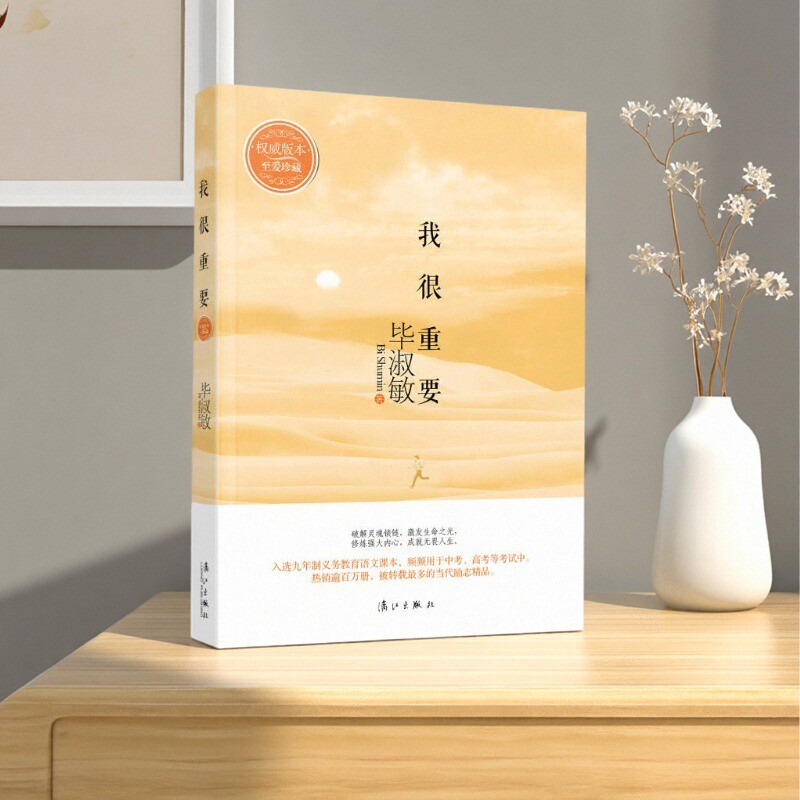 【正版好书】我很重要