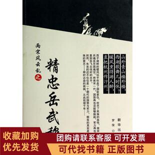 正版图书 两宋风云乱之精忠岳武穆罗俊新华