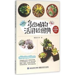 正版 社 图书 多肉植物活用轻图典慢生活工坊福建科技出版