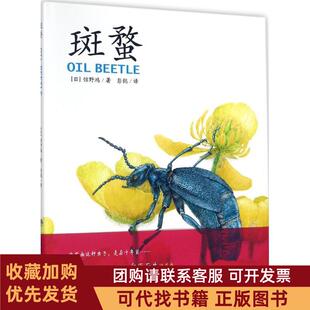 正版图书 斑蝥馆野鸿上海文化出版社
