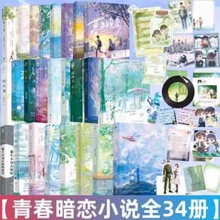 【青春暗恋文小说全34册】见春天+渡夏天+过秋天+在冬天+开口即失声+清清+潇潇雨声迟+暗恋这件难过的小事+告白+侧耳+暮色晚星时来