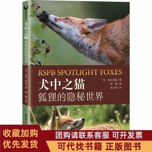 正版图书 犬中之猫狐狸的隐秘世界麦克恩温清华大学出版社