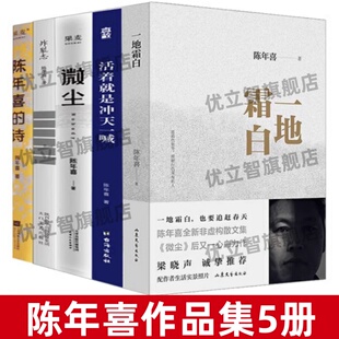 【陈年喜作品集5册】正版 一地霜白+活着就是冲天一喊+微尘+炸裂志+陈年喜的诗 非虚构故事集当代工作诗歌诗集文学随笔集书籍