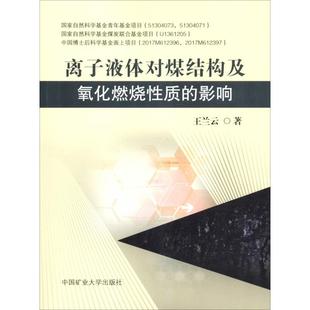 影响王兰云中国矿业大学出版 离子液体对煤结构及氧化燃烧质 社 图书 正版