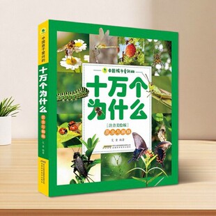 【正版好书】中国孩子爱问的十万个为什么:注音美绘版 昆虫与蜘蛛 艾童著 安徽科学技术出版社 儿童艺术书籍 9787533777456