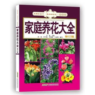 采菊东篱下休闲好时光羊茜安徽科技 家庭养花大全修订版 正版 图书