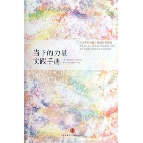 正版图书 当下的力量实践手册精埃克哈特托利|者曹植中信