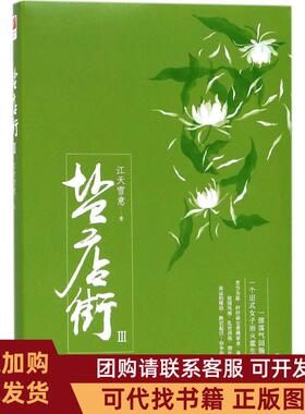 正版图书 盐店街江天雪意京华出版社