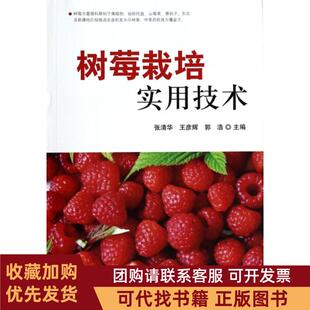正版图书 树莓栽培实用技术张清华王彦辉郭浩中国林业