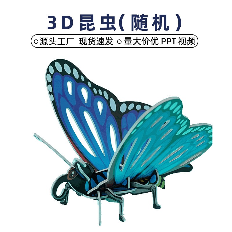昆虫3D纸质立体拼图幼儿园手工diy儿童早教益智科技制作玩具