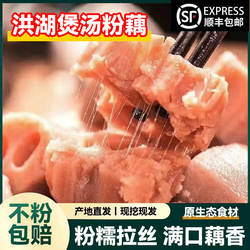 正宗洪湖莲藕粉藕湖北特产新鲜现挖煲汤粉糯炖汤九孔糯米藕红莲藕
