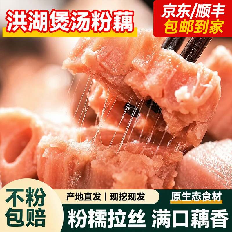 洪湖莲藕粉藕湖北特产新鲜现挖图片