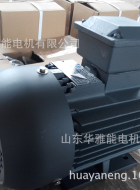 船用Y-H-132S-4-5.5电机防腐F1型轴头丝M10x30左侧出线可