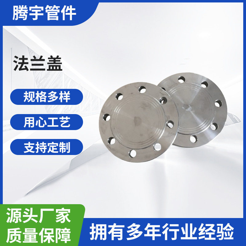 厂家供应 316L不锈钢法兰盲板 PN6 (0.6MPa）BL-RF 法兰盖