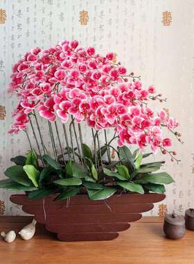 和家手感蝴蝶兰客厅玄关装饰花新家办公文化仿真植物仿真园艺