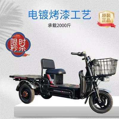 农用新款载重王电动三轮车载货C快餐拉客快递爬坡王家用送货车