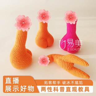 男性针织丁丁模型医学教具私密拓客演示道具沙龙布T置讲解产康摆