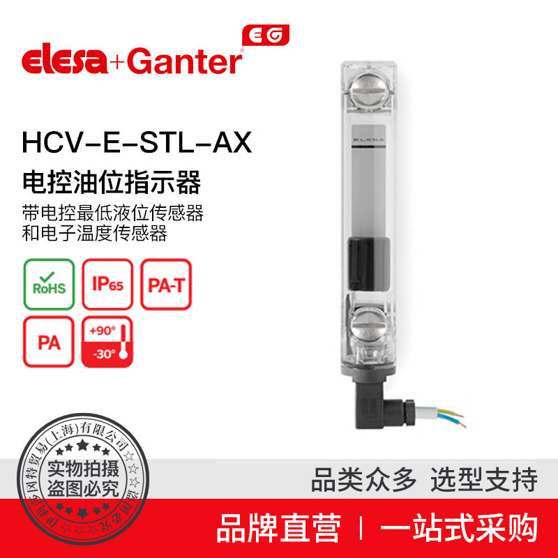 Elesa Ganter伊莉莎冈特 HCV-E-STL-AX电控油位指示器