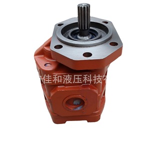 CBGJ1032扒渣机液压泵 山东扒渣机配件油泵 CBGJ2050齿轮泵