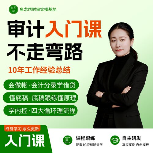 注会注册会计师CPA审计助理财报