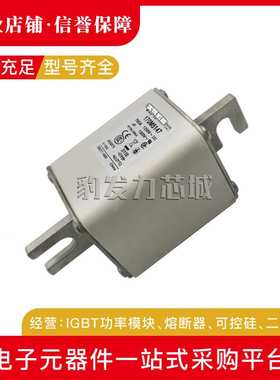 170M5408 170M5409 170M5410 170M5411 170M5412 170M5413熔断器