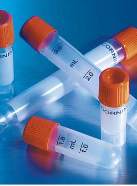 培养瓶 175cm2 TC表面，斜颈 透气盖 PS 聚苯乙烯材质 灭菌 散装