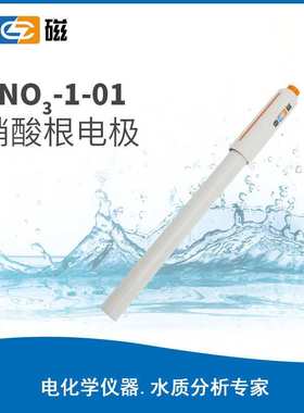 上海雷磁PNO3 -1-01 PClO4-1-01 PAg/S-1-01 PPb-1-01离子电极