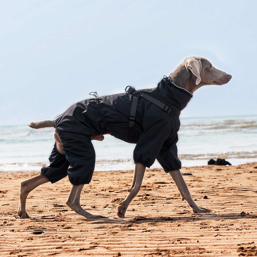 亚马逊中小型犬四脚小狗雨衣可牵引狗狗雨衣防水宠物衣服户外反光