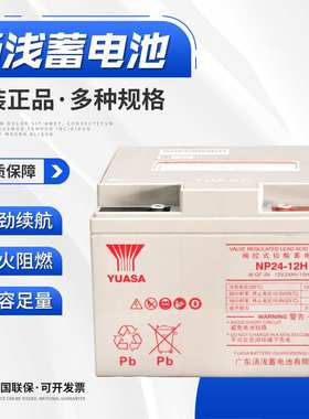 汤浅（YUASA）UPS电池铅酸蓄电池免维护2V1000AH蓄电池UXL1100-2N