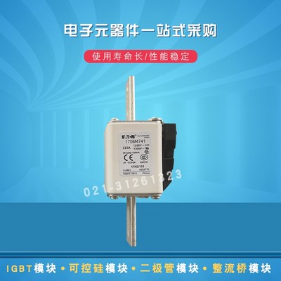 巴斯曼熔断器保险丝170M4719 4722 4734 4738 4739 4740 4741全新