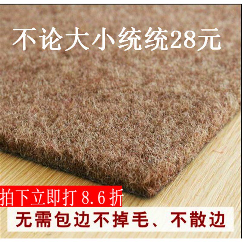 蹭灰80*100地垫门垫进门入户门地垫家用脚垫门垫门口地毯门厅客厅