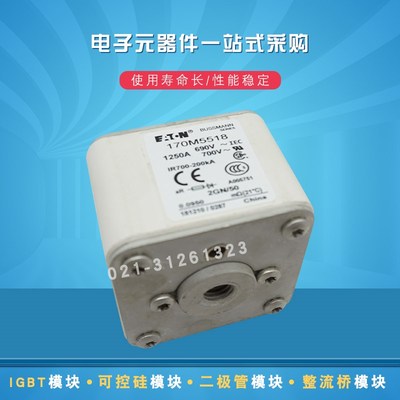 全新熔断器保险丝170M5534 5535 5536 5537 5538 5539 5540 5558