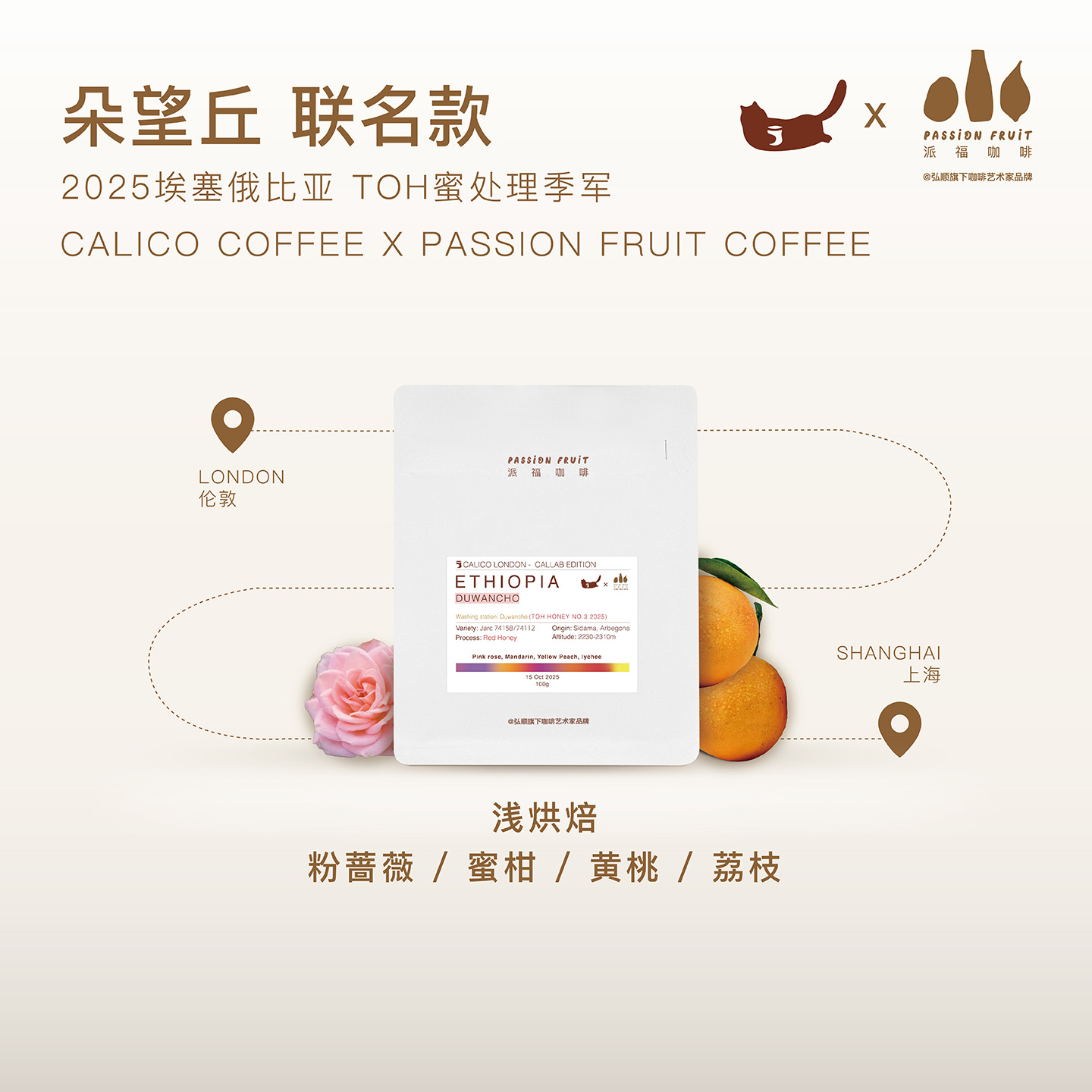 弘顺派福联名款朵望丘咖啡豆