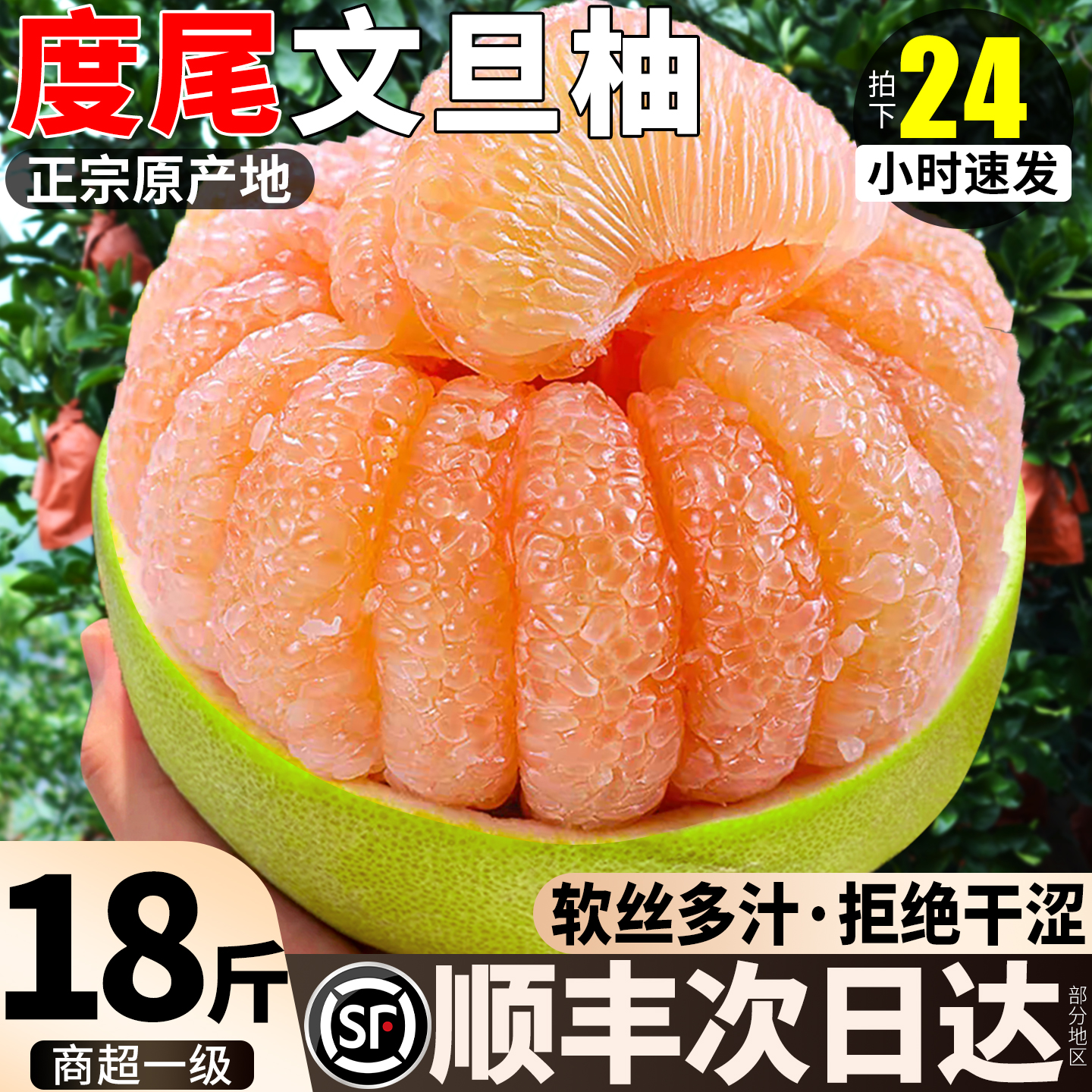 正宗福建度尾文旦柚皮薄爆汁