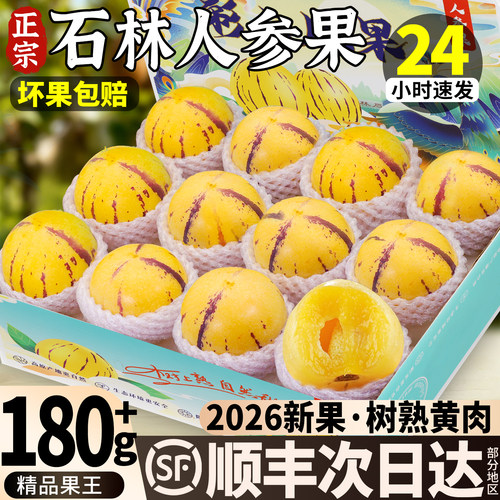 现摘次日达丨树熟石林人参果黄肉